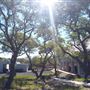 The Cedars Ranch