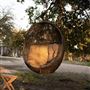 The Cedars Ranch