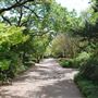 Chandor Gardens