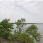 Marion Sansom Park