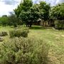 Obregon Ranch