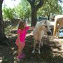 Old Ponderosa Ranch