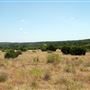Old Ponderosa Ranch