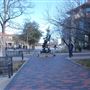 Texas Tech University