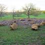 Morford Ranch