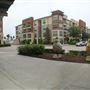Pearland Town Center