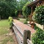 Sabor A Pasion Estate & Vineyard