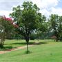 Wildcat Golf Course