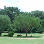 Wildcat Golf Course