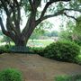Reagan Park