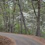 Davey Dogwood Park