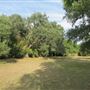 Waldhauser Property