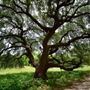Wimberley Getaways - Rivers Edge