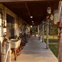 Inspiring Oaks Ranch