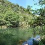Red Bud Isle
