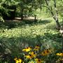 Clark Gardens Botanical Park