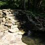Clark Gardens Botanical Park