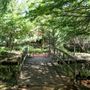 Clark Gardens Botanical Park