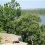 Lake Mineral Wells State Park
