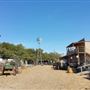 Buggy Barn Museum and Pine-Moore Western Town