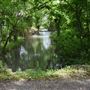 Bonham State Park