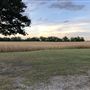 Gil Farmhouse & Cornfield