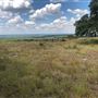 Martin Property