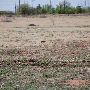 Mackenzie Park - Prairie Dog Town