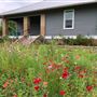 Our Country Cottage