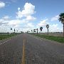 Palm lined Road along Military Hwy