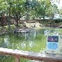 SeaWorld Adventure Park