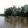 Martin Dies, Jr. State Park