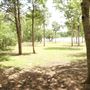 Lake Bastrop - North Shore Park