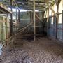 Rural Farm - Two House Property