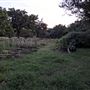 Rural Farm - Two House Property