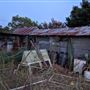 Rural Farm - Two House Property