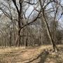 Bastrop County Nature Park