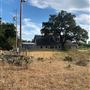 Rose Ranch