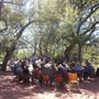 Pecan Grove Store