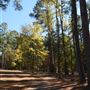 Synergy Park