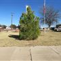 City Lot Next to Miles City Hall