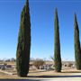Miles Cemetery
