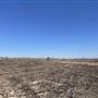 Property at 721 Rohde Rd