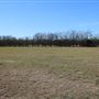 Marlin Municipal Airport (T-15)
