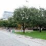 Nasher Sculpture Center