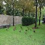 Nasher Sculpture Center