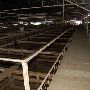 Navasota Livestock Auction