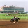 Lone Star Park