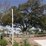 Waterloo Park