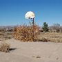 Abandoned Basketball Court